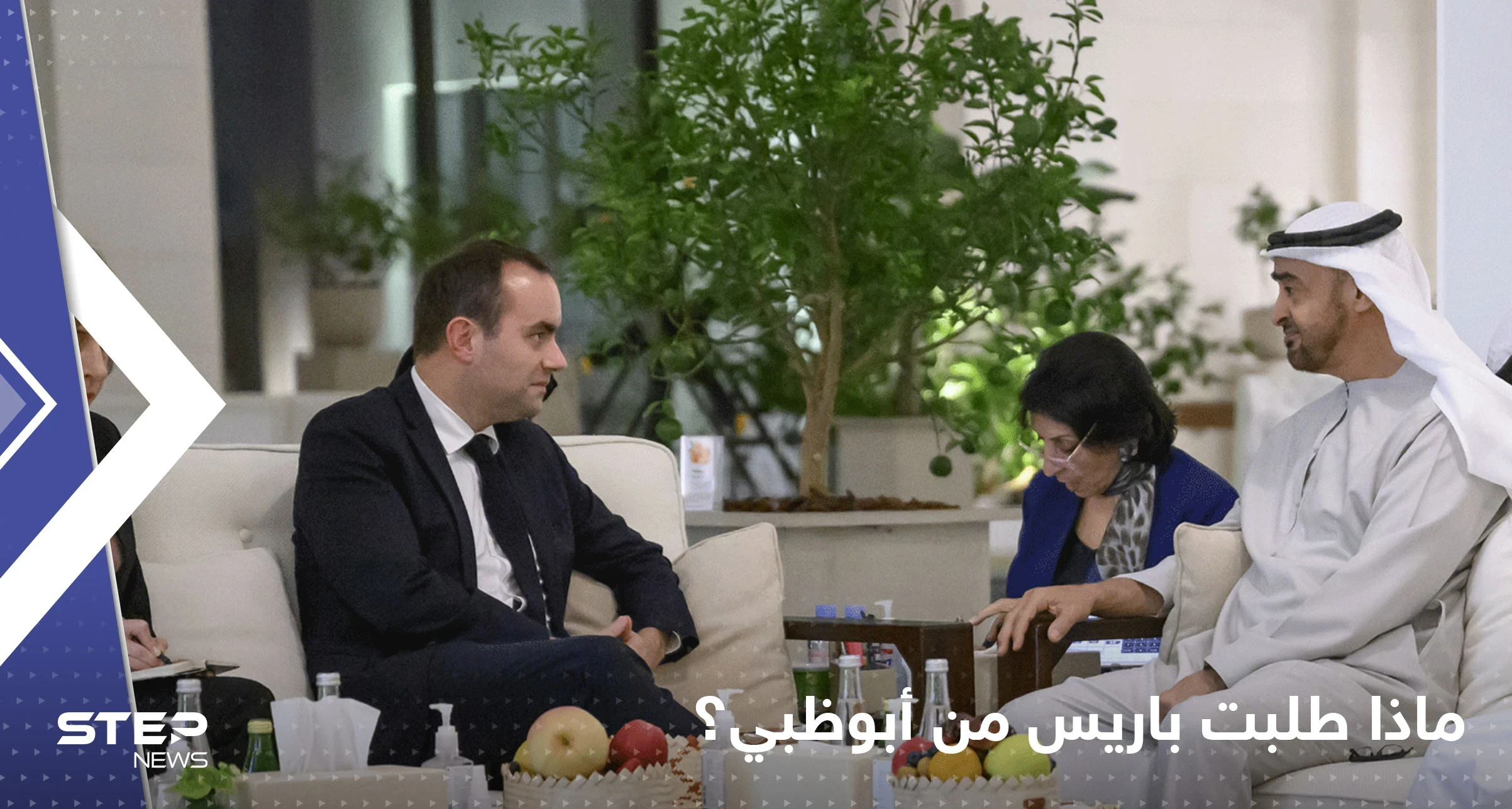تفاصيل اجتماع مهم بين وزير الجيوش الفرنسي ورئيس الإمارات.. ماذا طلبت باريس من أبوظبي؟