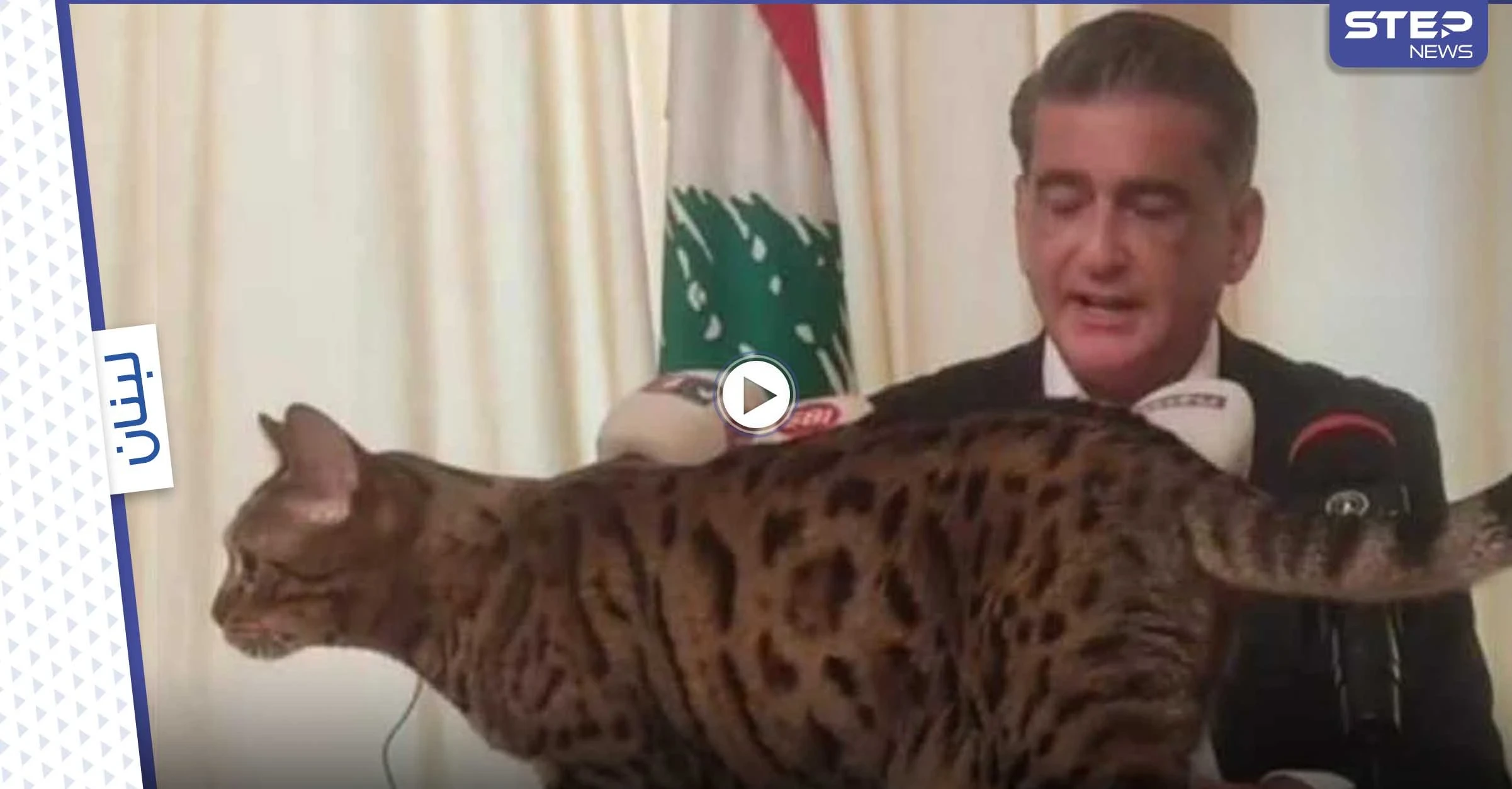 بالفيديو|| هرّة تقتحم مؤتمر صحفي لنائب لبناني سابق.. وردة فعل الأخير لافتة