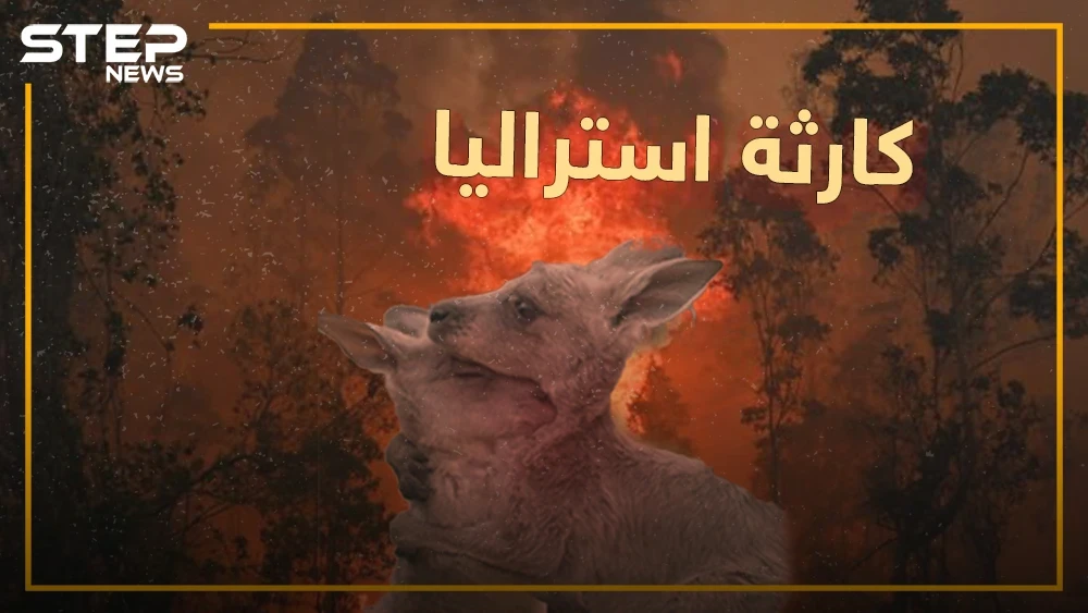 نصف مليار كائن اختفى من الكوكب بسبب حرائق استراليا..