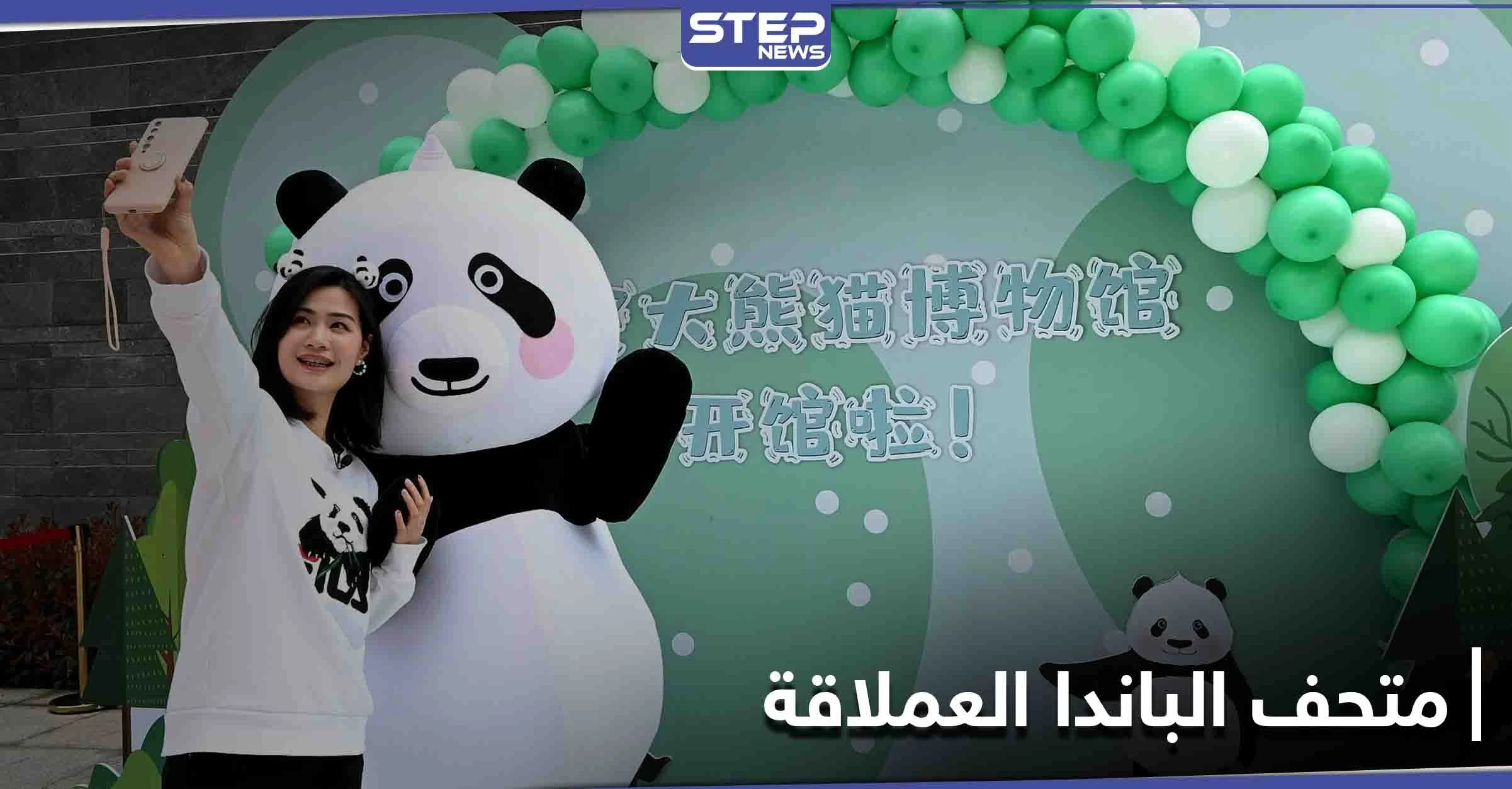 الأول من نوعه في العالم.. متحف تفاعلي لـ الباندا العملاقة في الصين