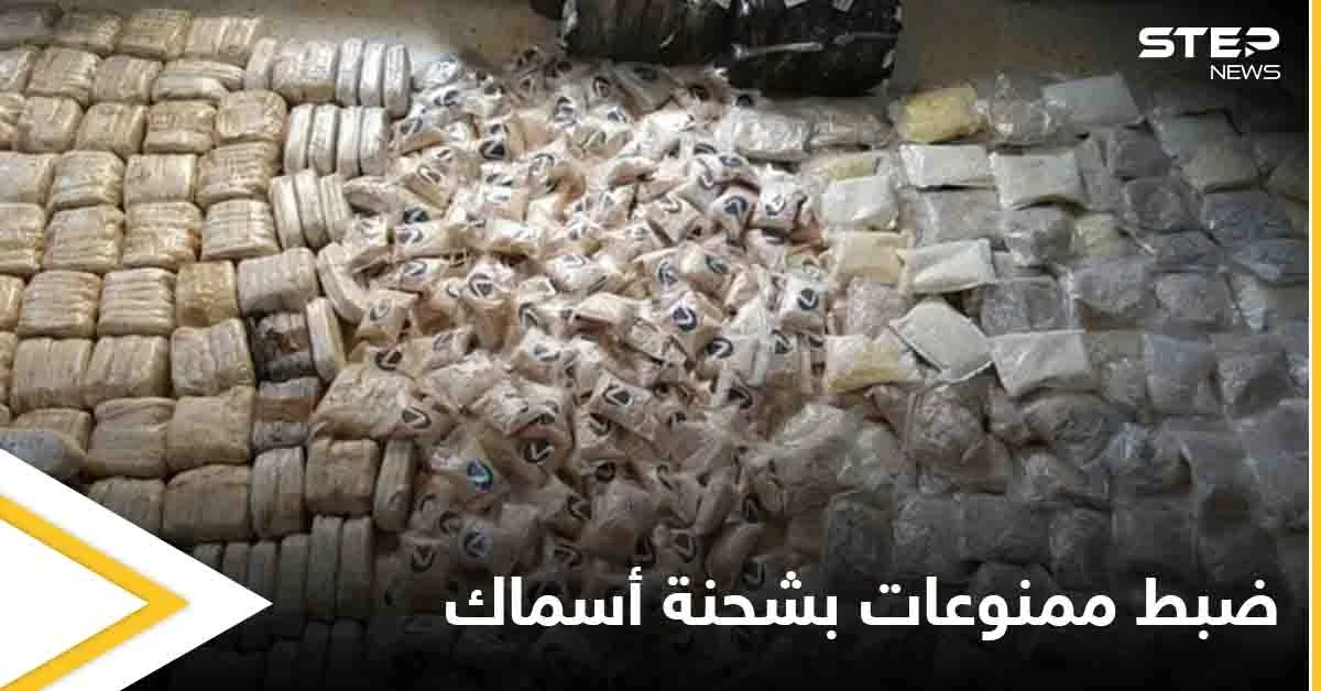 بعد إصدار حكم الإعدام بتجار الممنوعات.. الكويت تضبط كميات مهربة في شحنة أسماك وهذا مصير الفاعل