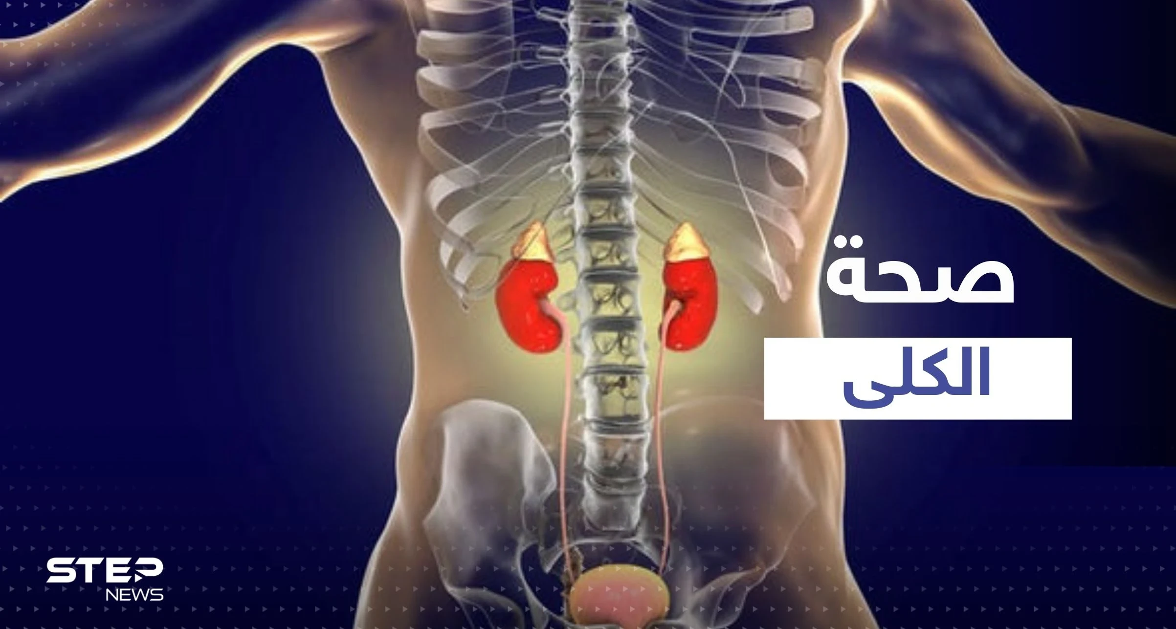 4 مشروبات شهيرة الإفراط في تناولها يضر بكليتك ويسبب تلفها.. احذر منها