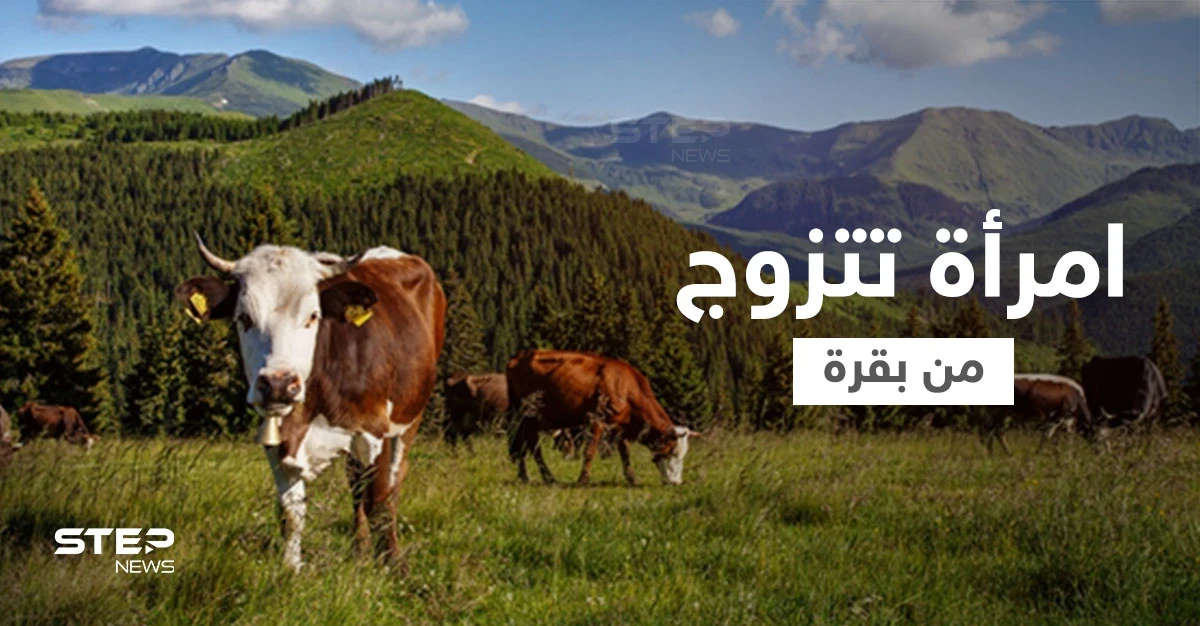 شاهد|| امرأة تزوجت بقرة في زفاف علني لسبب غير متوقع وكتبت وصية مثيرة لأولادها