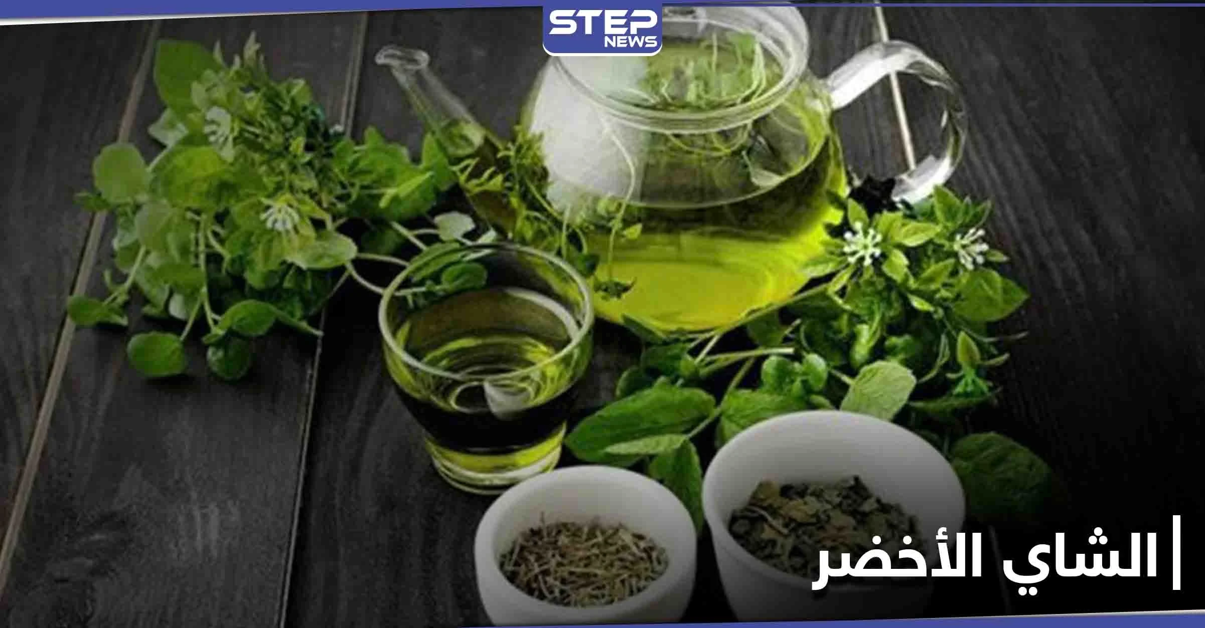 الشاي الأخضر تحمي من مرض خطير وتستعمل للوقاية من الإصابة به