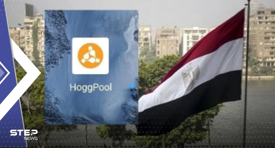 في عملية احتيال كبيرة.. منصة "هوج بول" تسرق مئات المصريين