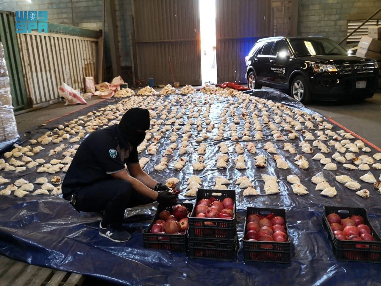 وزير الداخلية السعودية بعد ضبط ملايين حبوب الكبتاجون بفاكهة رمان لبنانية.. "أمن الممكلة خط أحمر"