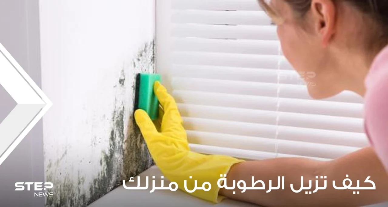 دع منزلك يتنفس بشكل مريح: طرق طبيعية وسهلة لمنع الرطوبة