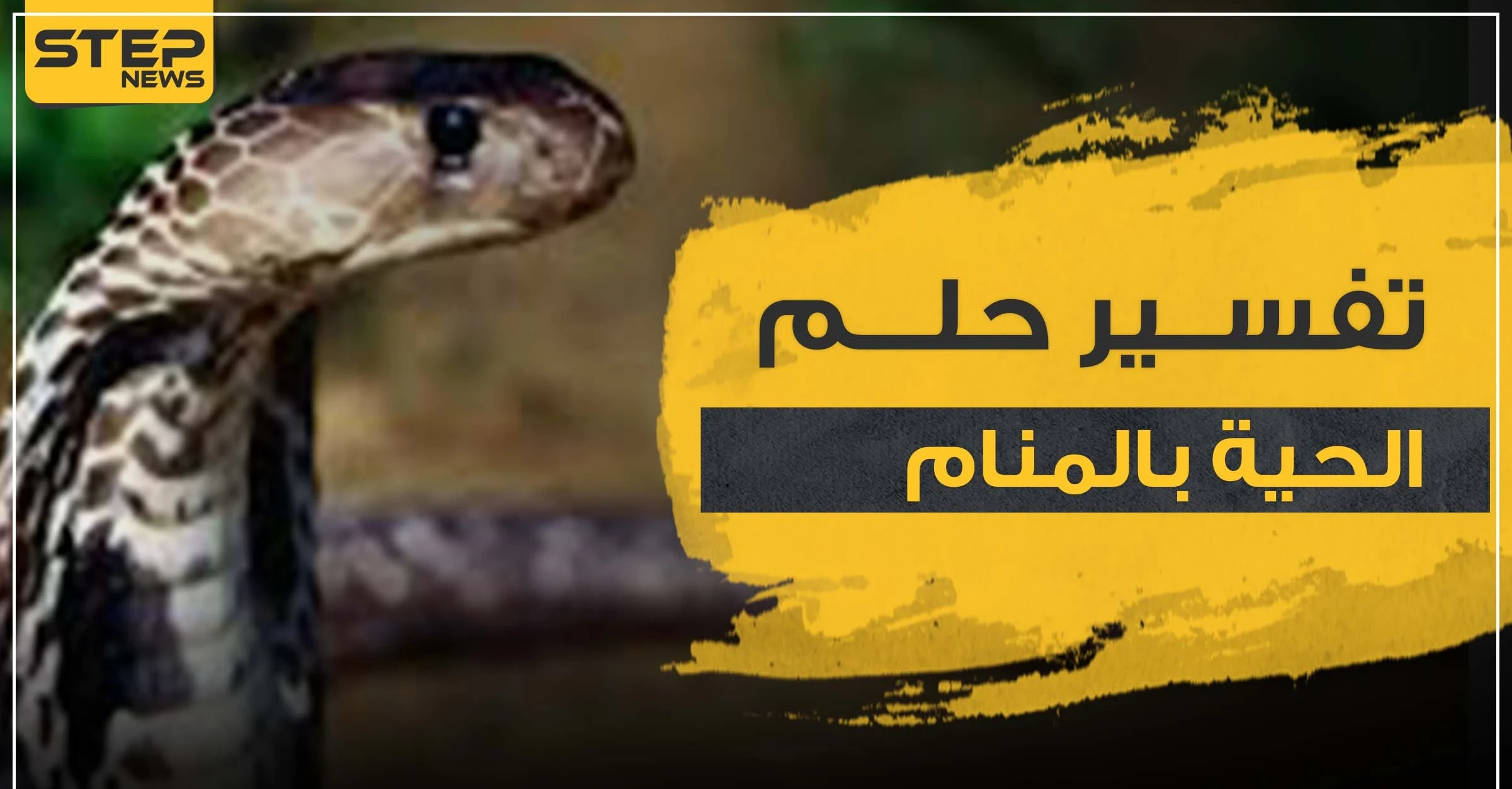 تفسير حلم الحية بالمنام بأكثر من 5 روايات ووفق كل الأوضاع