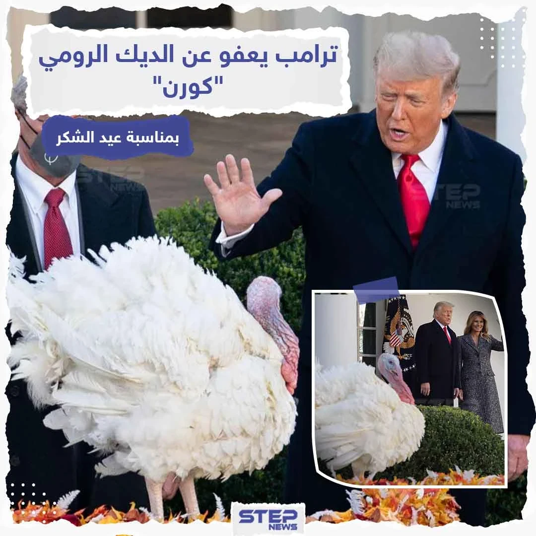 ترامب يعفو عن الديك الرومي "كورن" عملاً بالتقليد السنوي في البيت الأبيض قبل عيد الشكر والذي يستهلك خلاله الأمريكيون على مائدة العشاء مع عائلاتهم 45 مليون ديك رومي سنوياً.