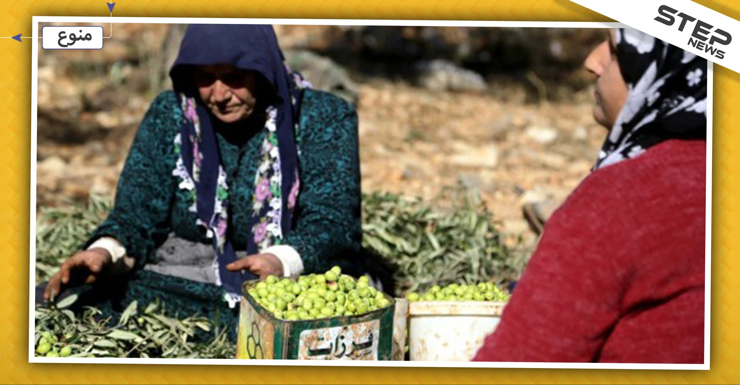 على الرغم من انتاجه بمناطق سيطرة المعارضة.. أولى شحنات زيت الزيتون السوري تصل روسيا!