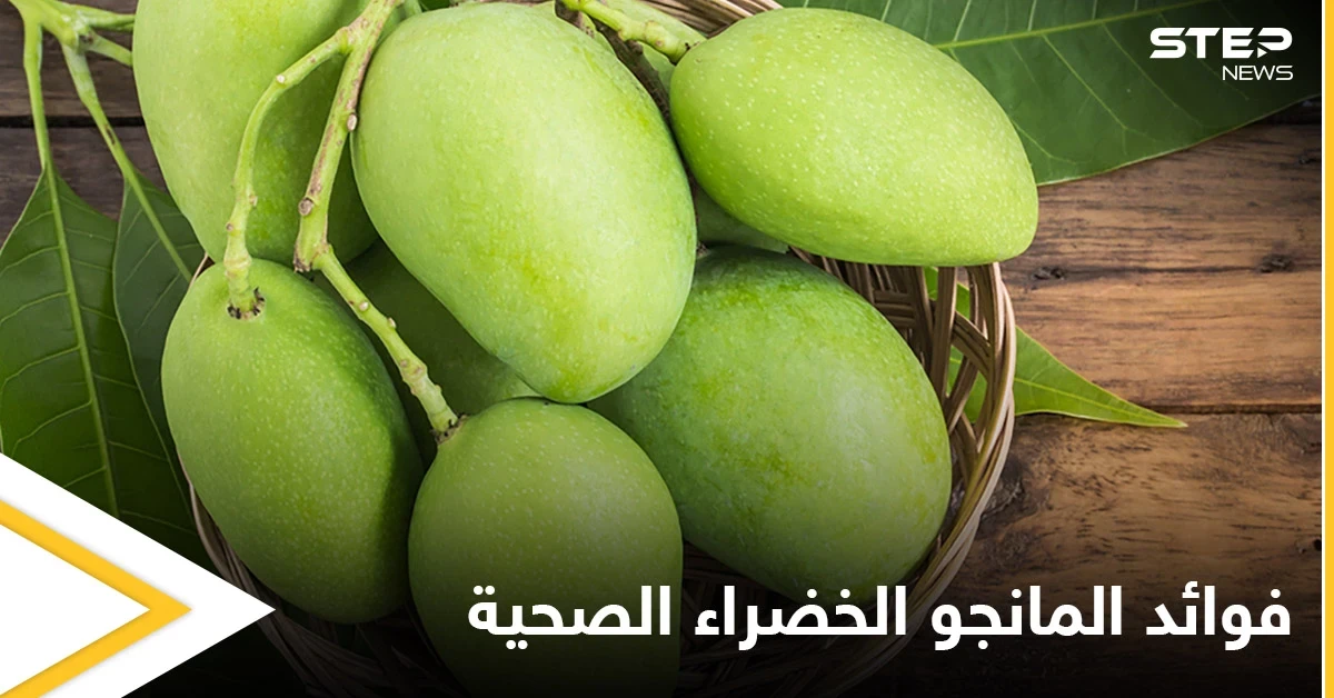 المانجو الخضراء.. تحمي الجسم من الجفاف وتمتلك فوائد كثيرة للجهاز الهضمي تعرف عليها