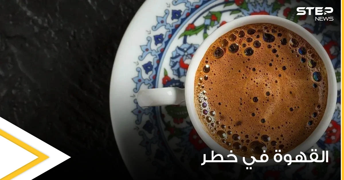 القهوة في خطر.. علماء أمريكيون يطلقون تحذيراً هاماً لعشاقها حول العالم