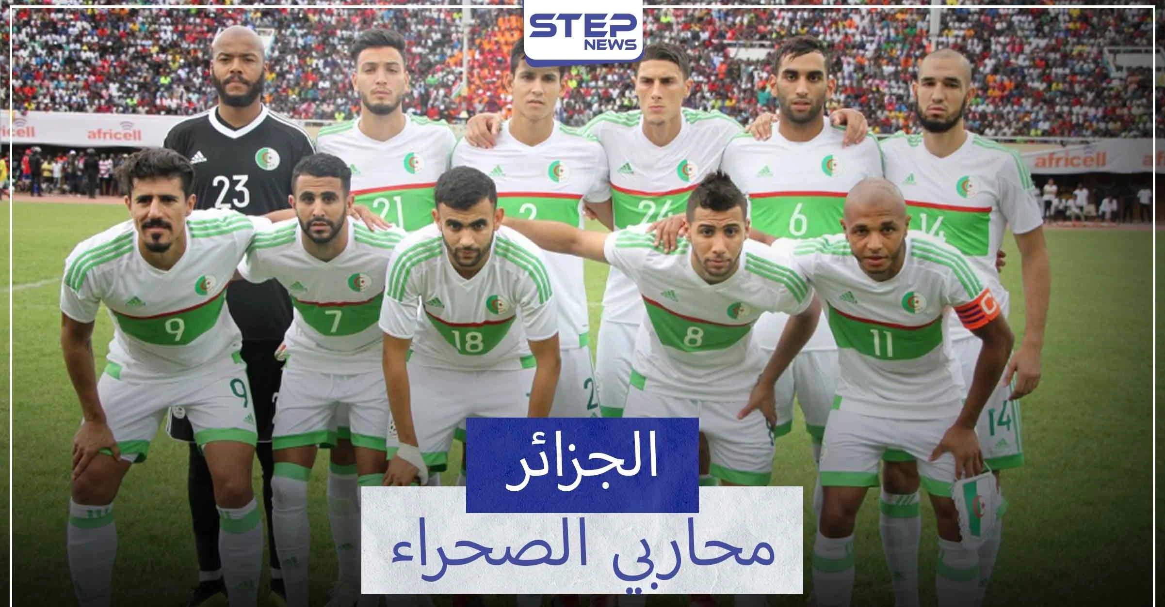 منتخب الجزائر.. لقبين في كأس أمم أفريقيا وأربع مشاركات في كأس العالم