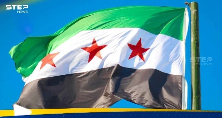 وزيرا ألمانيا والنمسا يلغيان زيارتهما لدمشق فجأة.. ما السبب؟