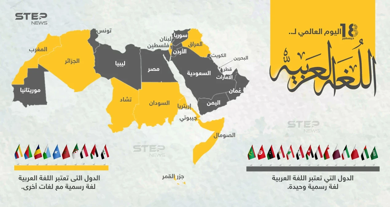 في اليوم العالمي للغة العربية، تعرّف على الدول التي تعتمدها لغة رسمية أو  لغة ثانية.