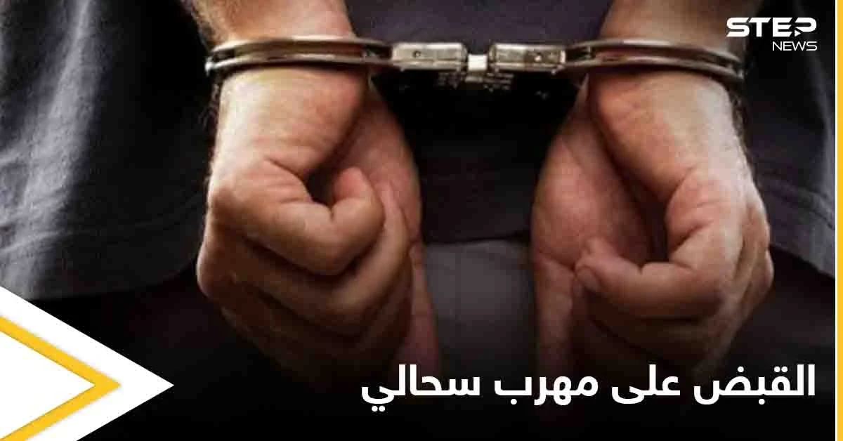 رجل يحاول تهريب 200 سحلية إلى مصر بطريقة غريبة