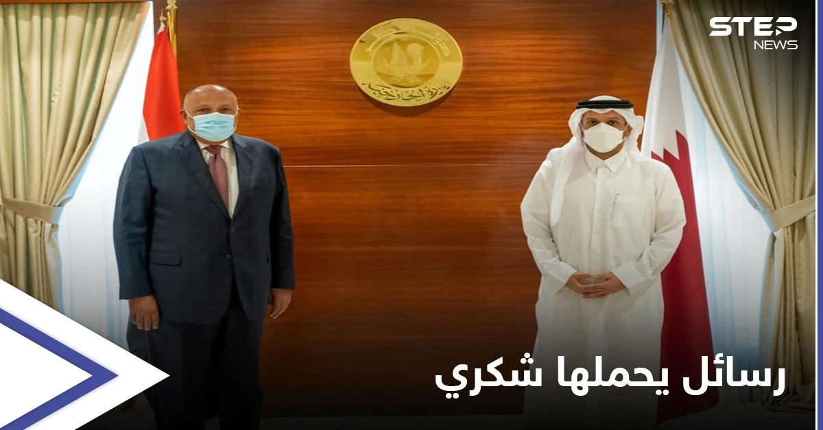 سامح شكري من الدوحة: لدينا رسالة قوية لإثيوبيا ونتحفّظ على سياسات أنقرة