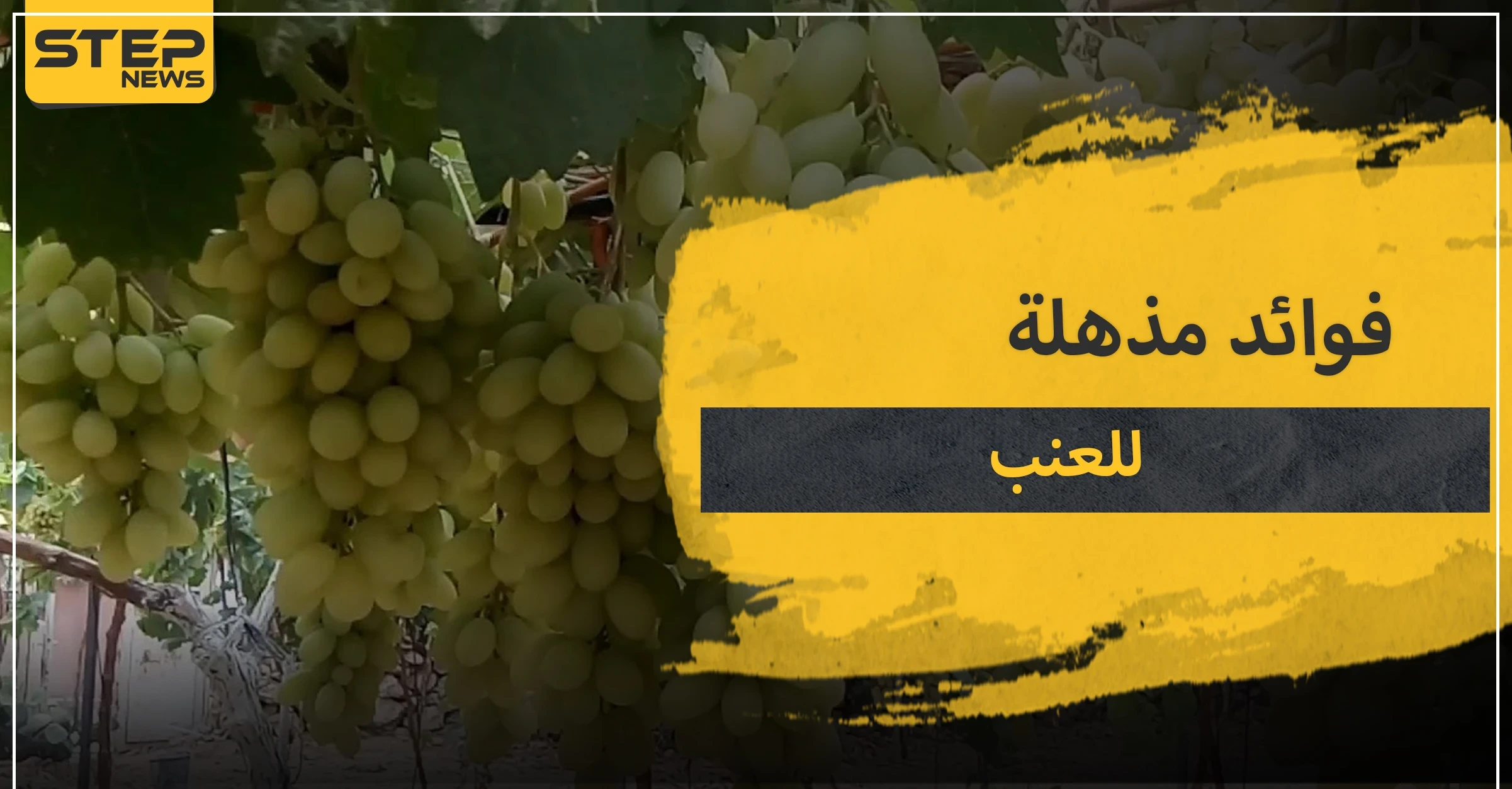 15 فائدة مذهلة لـ العنب .. تعرف عليها قبل أن يفوتك موسمها