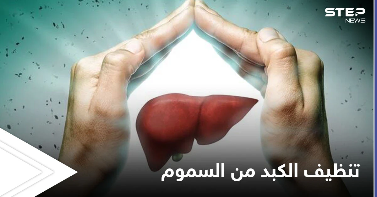 تنظيف الكبد من السموم.. تعرف على الأطعمة التي تساعد على أداء هذه العملية