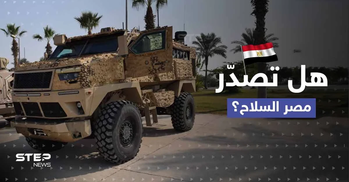 مصر تبدأ شراكة عسكرية مع دولة إفريقية.. هل تبدأ بتصدير الأسلحة؟