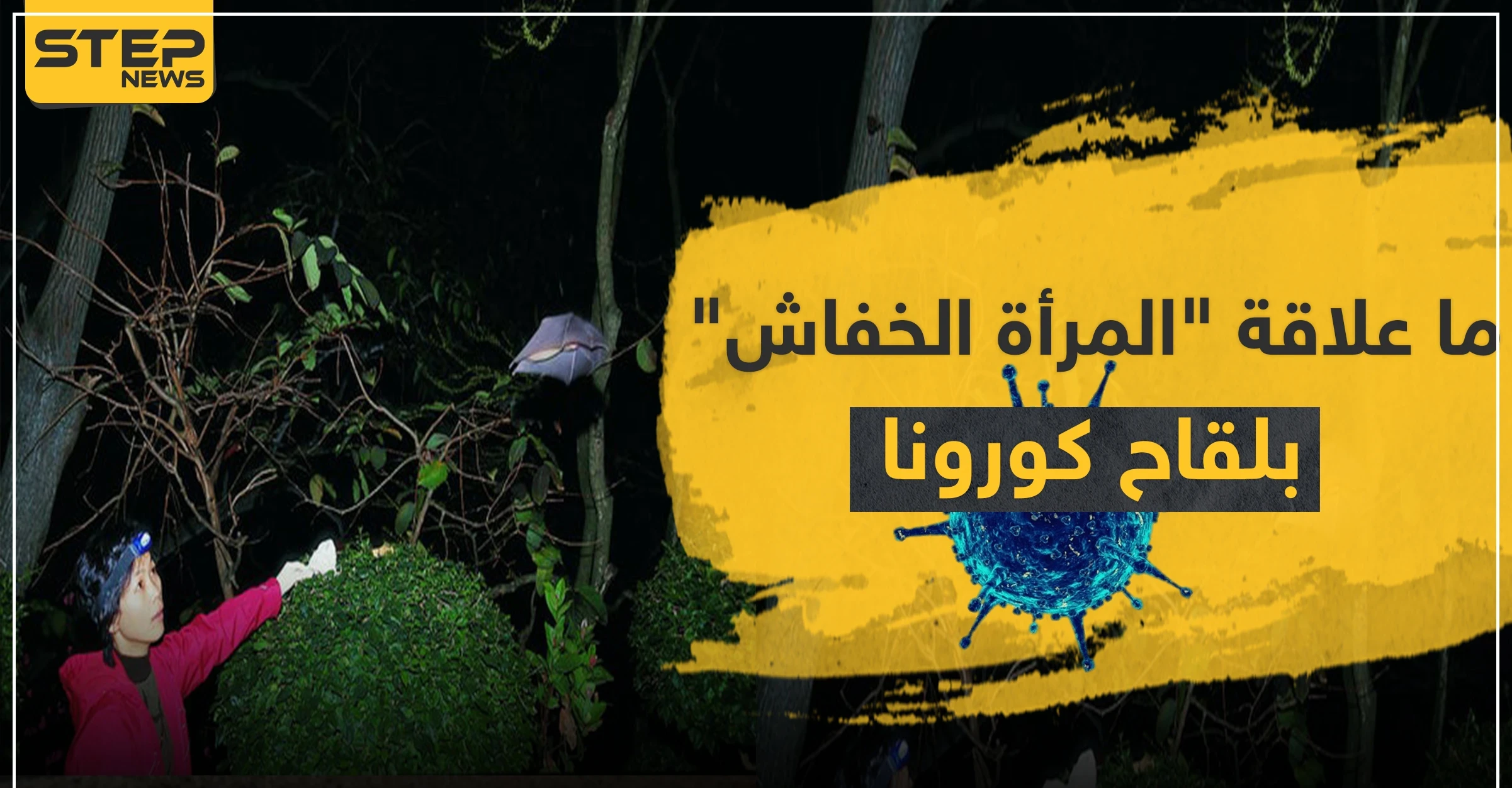بالصور|| ما علاقة "المرأة الخفاش" بلقاح كورونا ولماذا الصين أسكتتها.. وعلماء يفجرون مفاجأة شهر أيلول لكورونا
