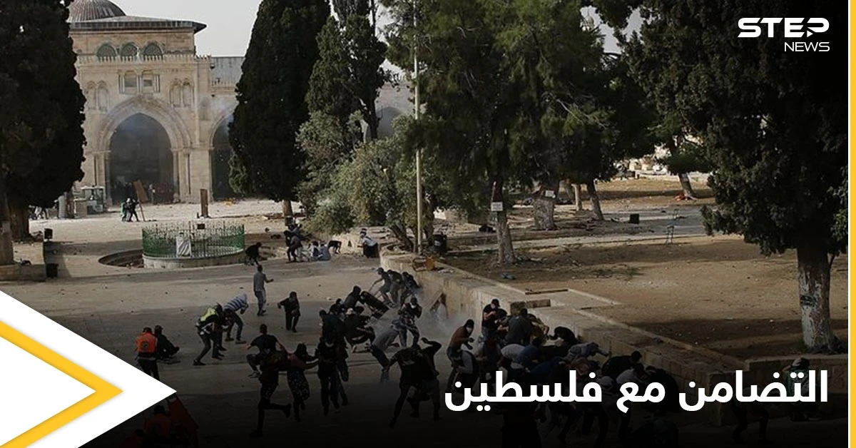"فلسطين" تتصدر منصات التواصل الاجتماعي في مصر ولبنان ودول عدة بكلمات مؤثرة