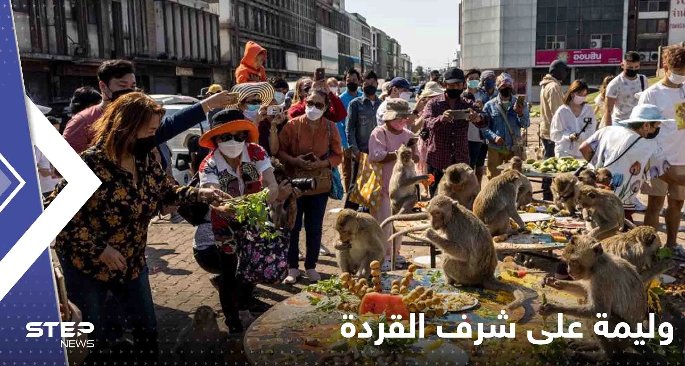 شاهد|| وليمة على شرف القردة.. انقضوا عليها والتهموا أطعمة بألفي دولار