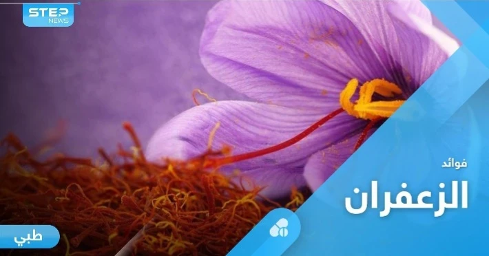 من أغلى النباتات في العالم.. الزعفران صيدلية متكاملة لعلاج الأمراض