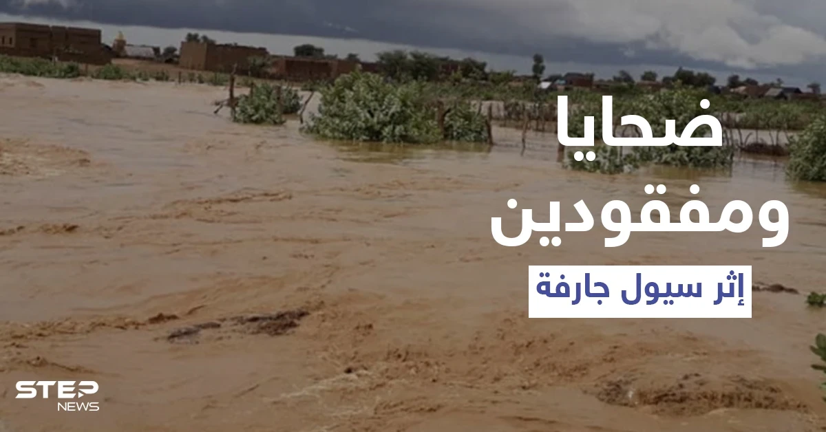 بالفيديو|| قتلى ومفقودين بعد اجتياح الأمطار لإيران والهند وتشكل سيول جارفة خارجة عن السيطرة