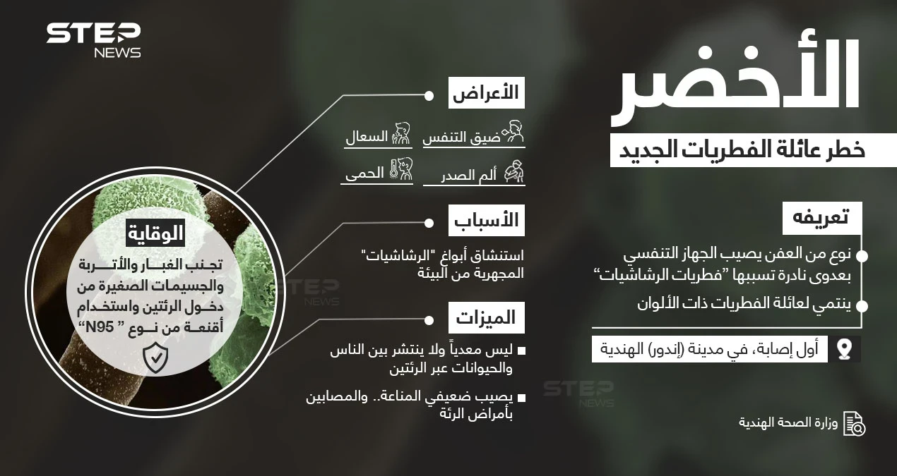 ماذا تعرف عن الفطر الأخضر.. الخطر الجديد