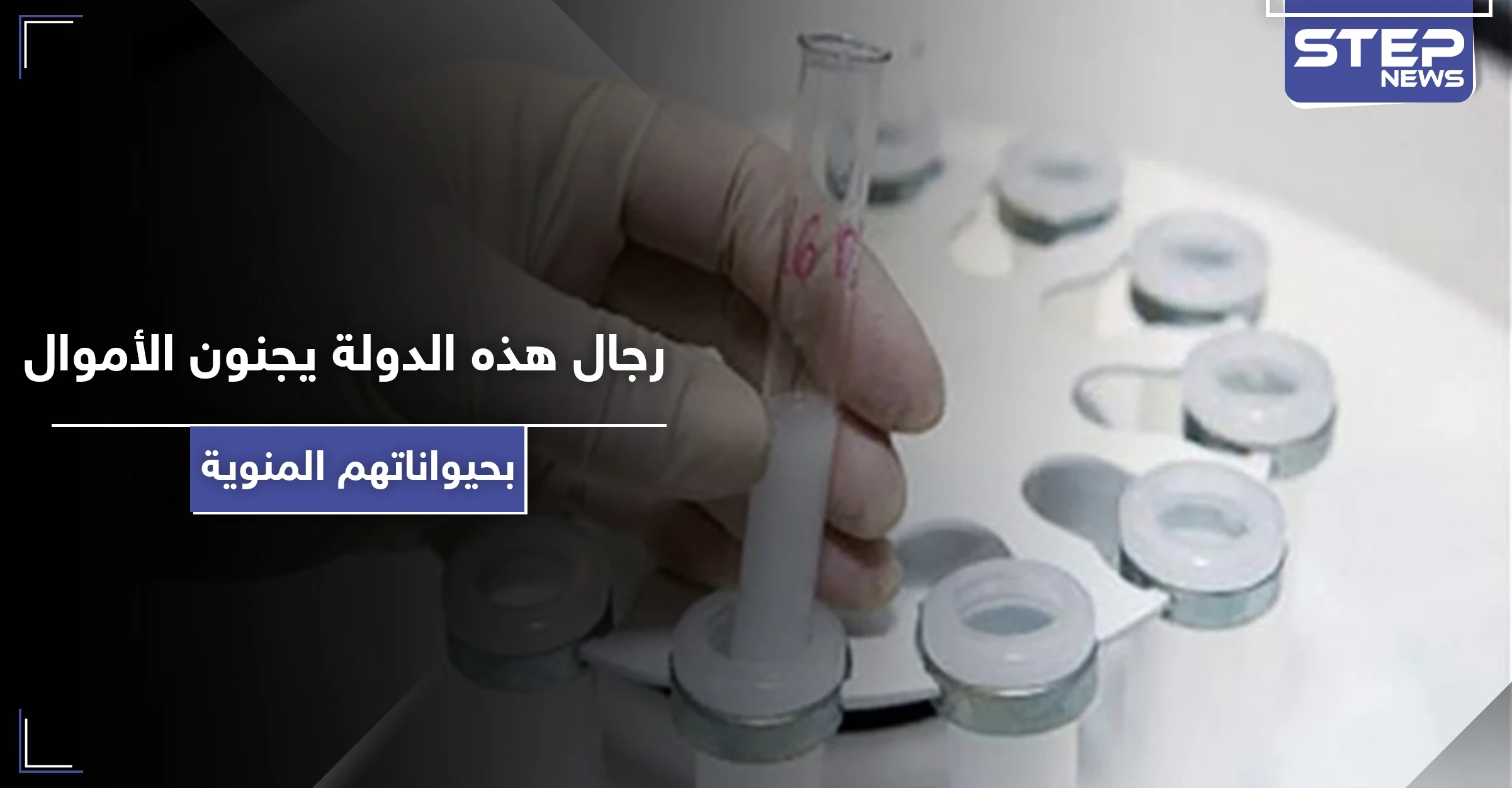 الحيوانات المنوية توفر دخلاً مادياً كبيراً في هذه الدولة.. وهذه هي الطريقة