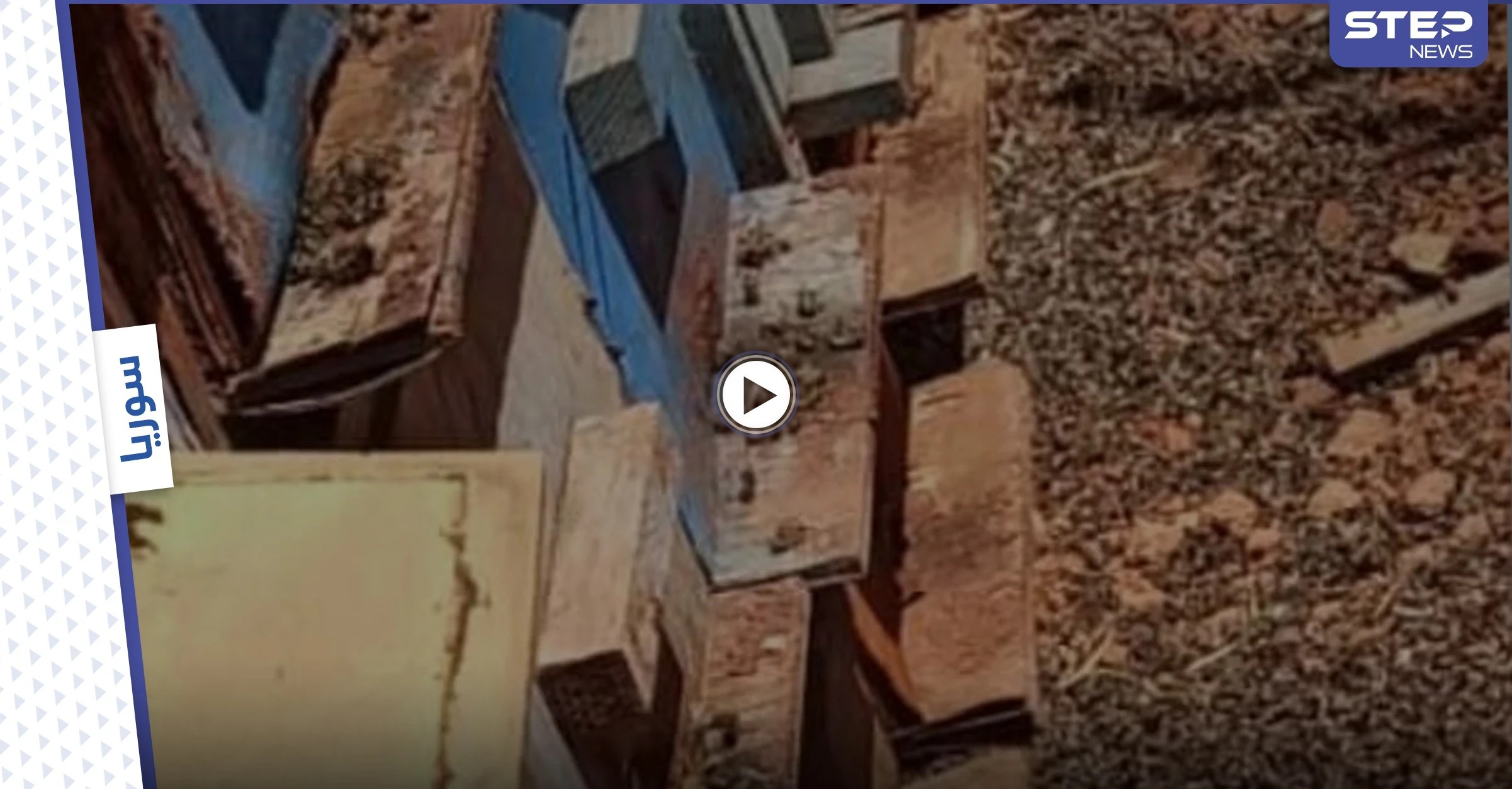 بالفيديو || المبيدات الحشرية تفتك بالنحل في إدلب والمربون يشكون انحسار المراعي
