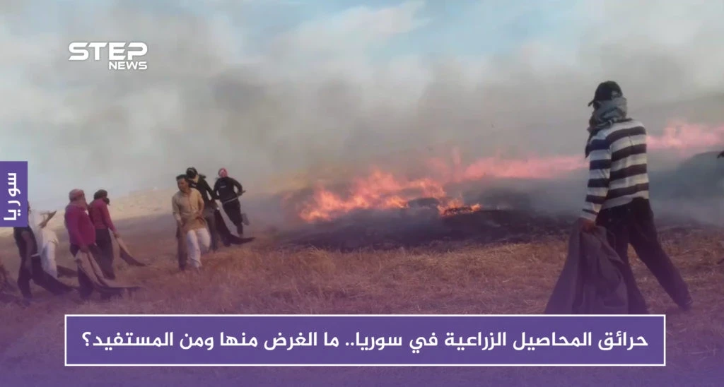 حرائق المحاصيل الزراعية في سوريا.. ما الغرض منها ومن المستفيد؟