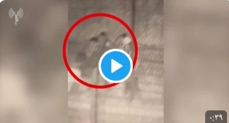 إسرائيل تنشر شريطاً مصوراً لِلبنانيين حاولوا التسلل إلى أراضيها ليلاً.. وأدرعي يوجه رسالة للبنان (فيديو)