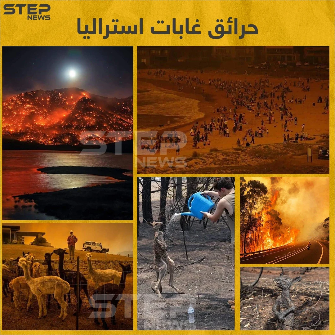 حرائق غابات استراليا