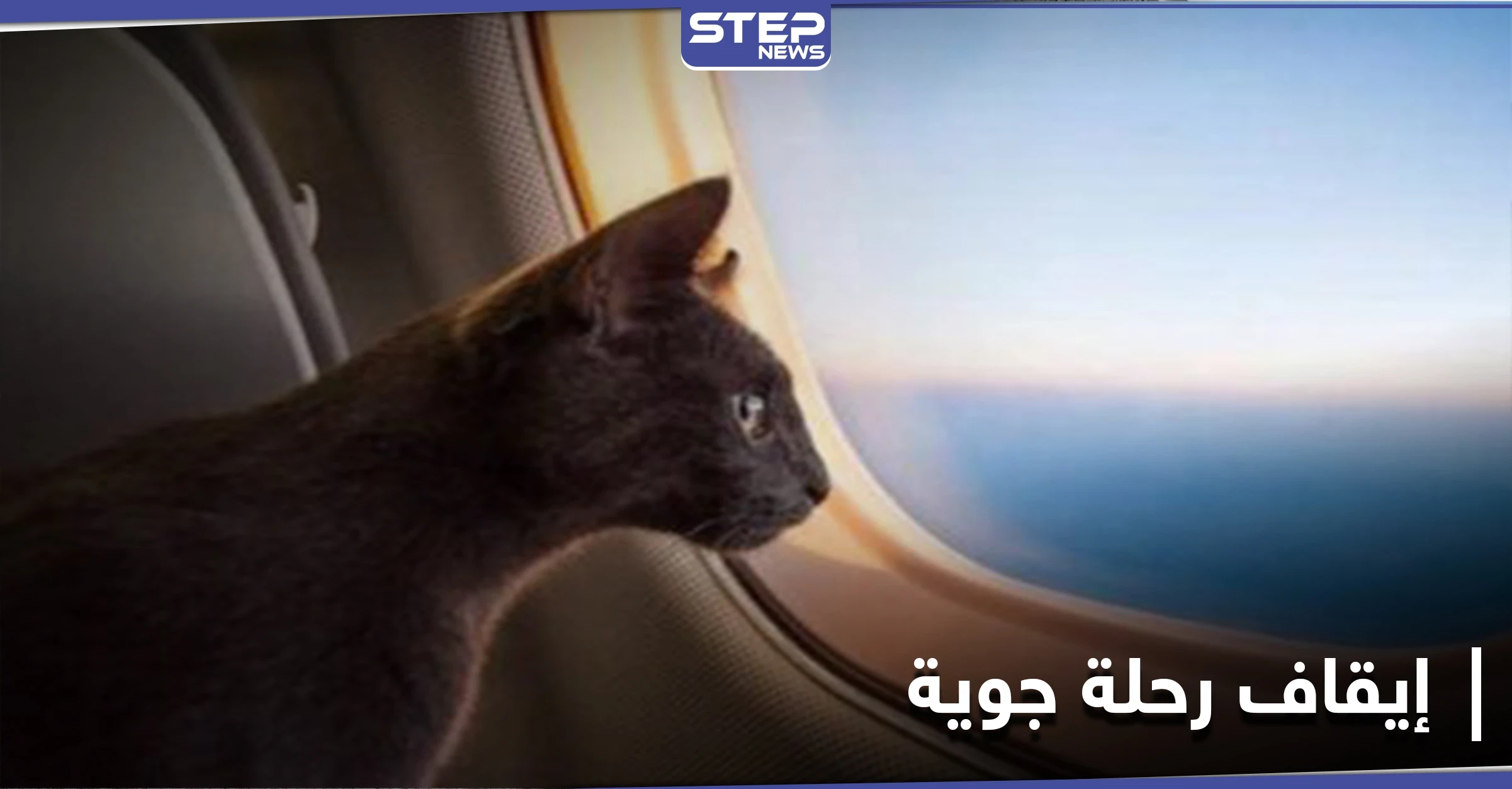 قطة "متطفلة" تجبر طاقم طائرة عربية على استقطاع رحلتهم والهبوط في العاصمة السودانية