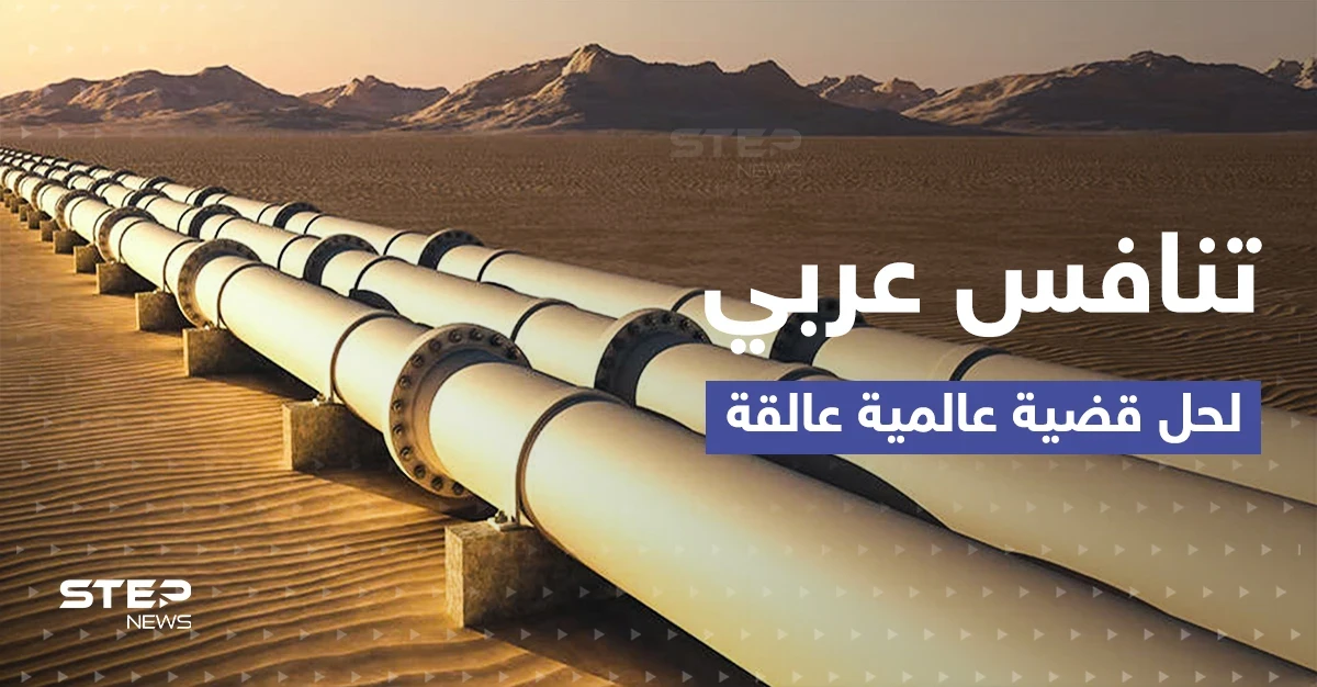 دولة عربية ثالثة تدخل على خط صراع المغرب والجزائر في قضية تؤرّق العالم