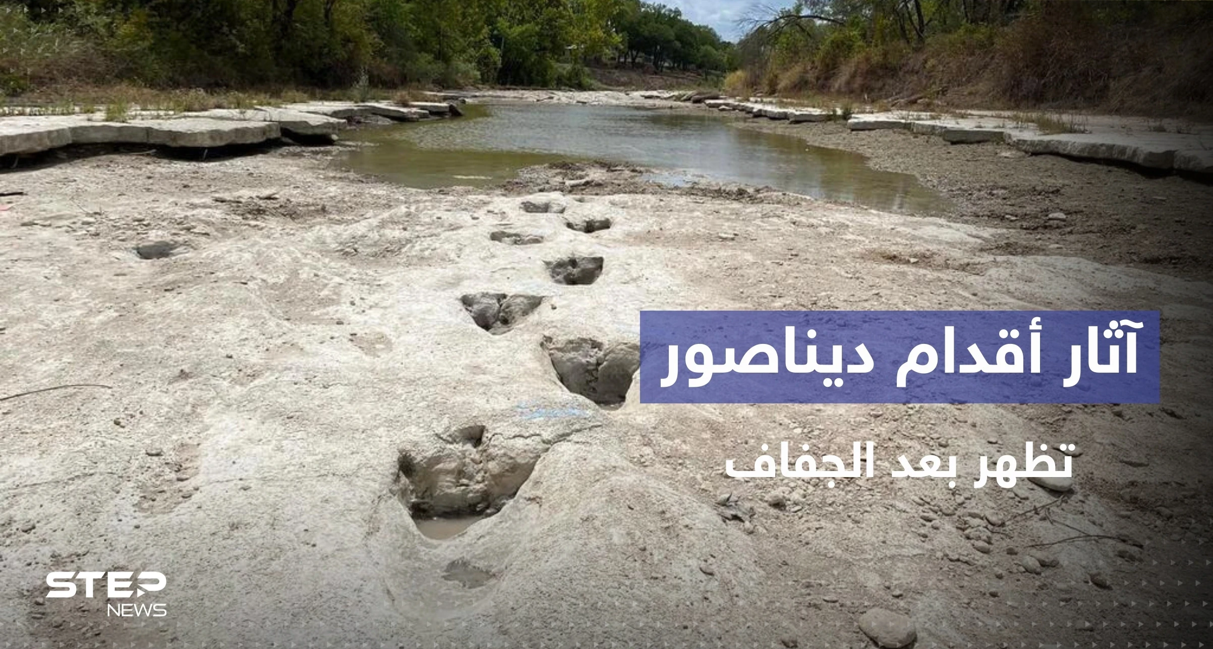 شاهد || آثار أقدام ديناصور عمرها 113 مليون عام تظهر بعد جفاف نهر في تكساس