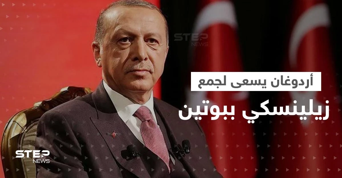 أردوغان يسعى لعقد لقاء بين زيلينسكي وبوتين في تركيا