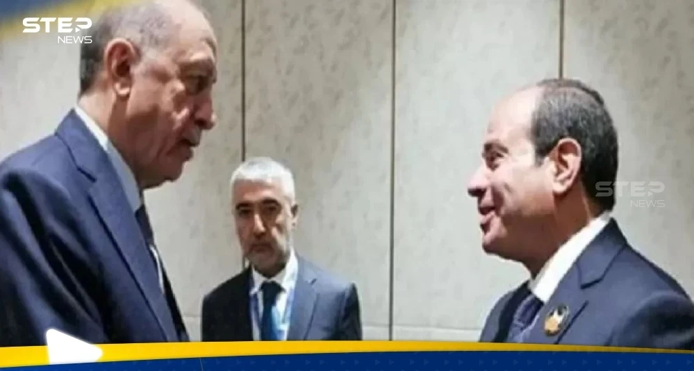 من مصر.. أردوغان يوجّه رسالة ويكشف ما ناقشه مع السيسي