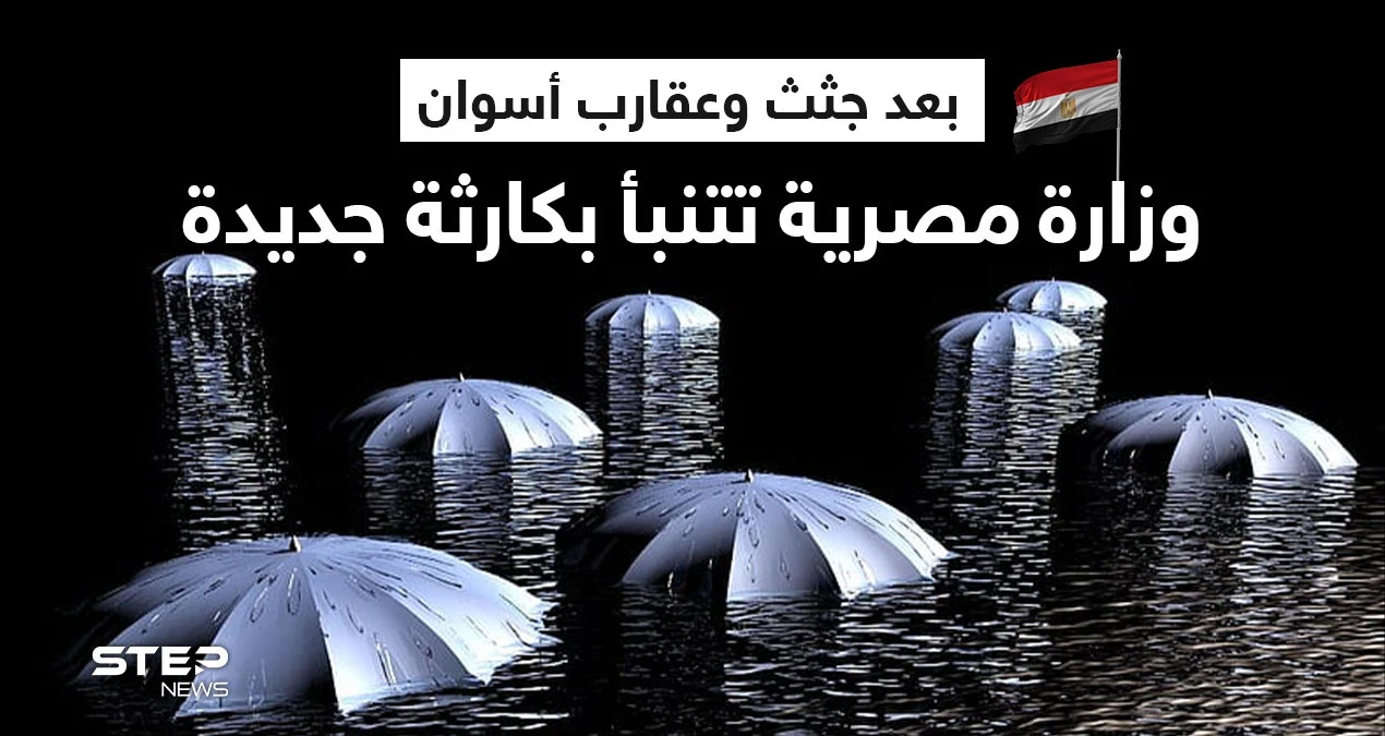 وزارة مصرية تتنبأ بـ"كارثة في شلاتين" بعد واقعة أسوان وانتشار العقارب والجثث بالشوارع