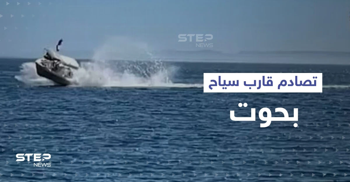 بالفيديو|| تصادم قارب سياح بحوت ضخم ووقوع عدد من الإصابات