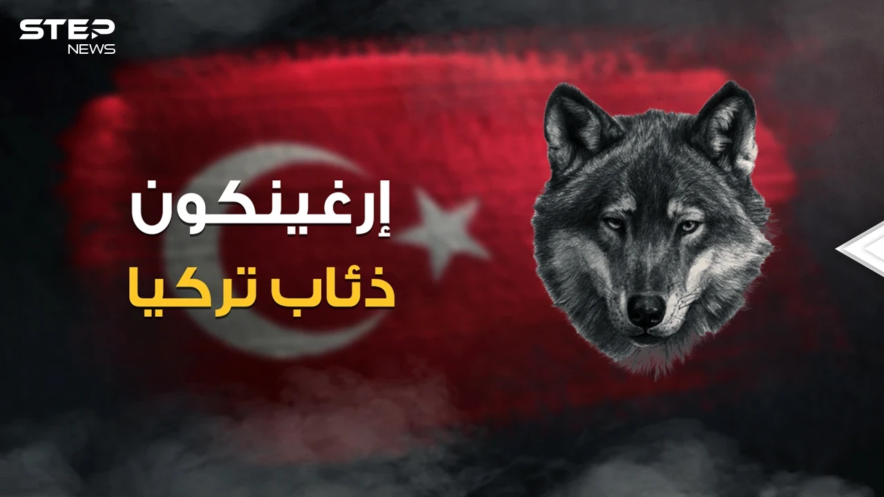رضعوا حليب الذئاب .. ماذا تعرف عن منظمة إرغينكون وقصة الذئبة التي أنجبت الأتراك!