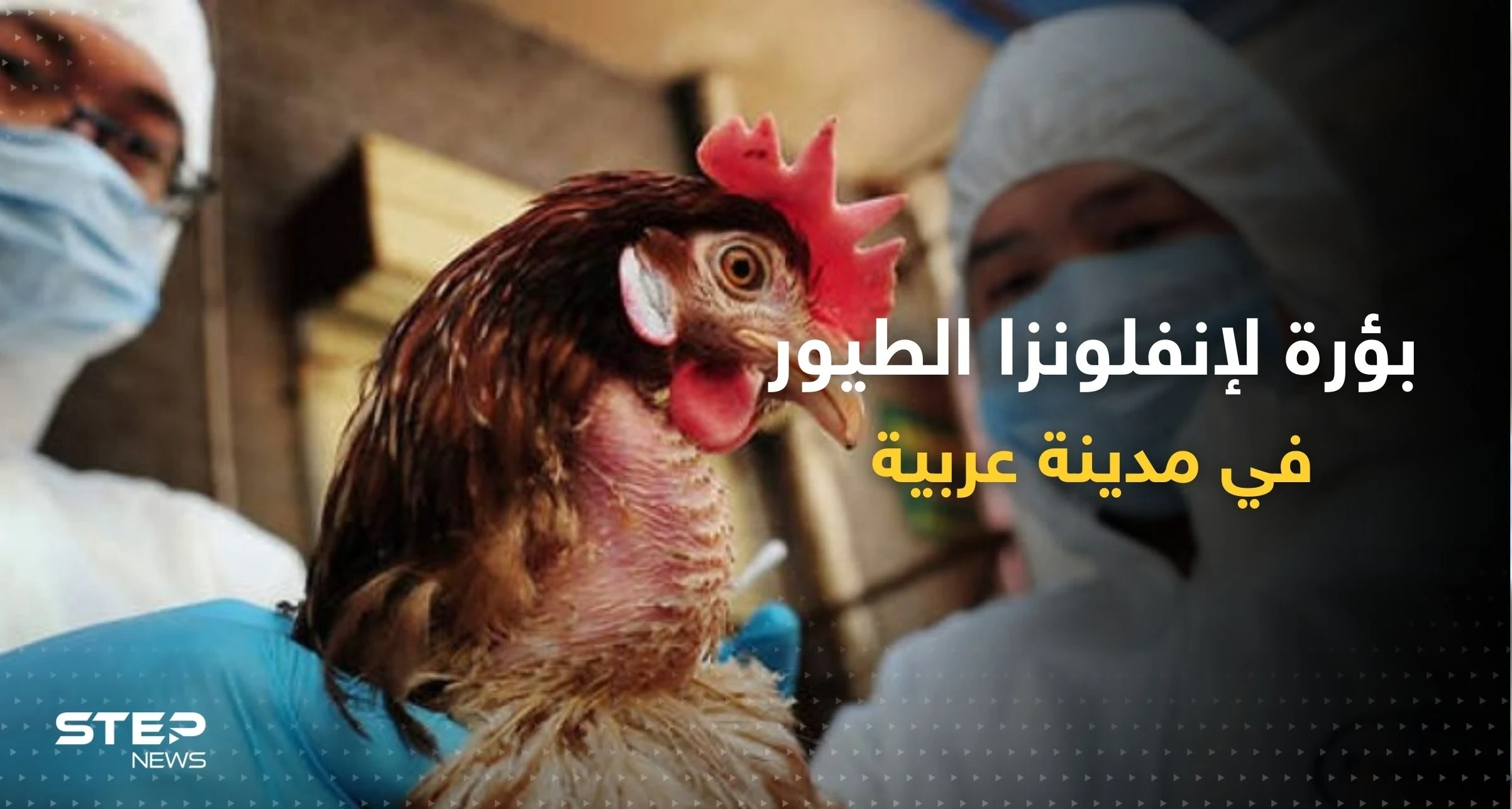 بؤرة لإنفلونزا الطيور تظهر في مدينة عربية.. أوامر بالحجر ومنع البيع