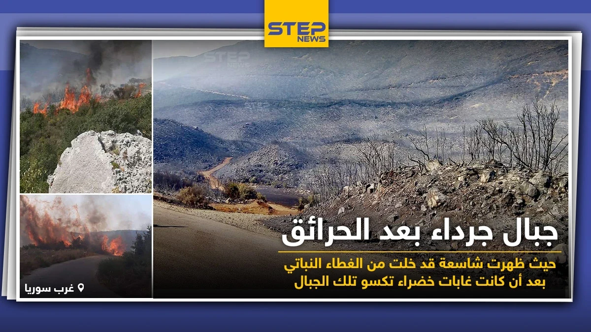 جبال خالية من النباتات عقب الحرائق التي التهمتها جراء ارتفاع درجات الحرارة