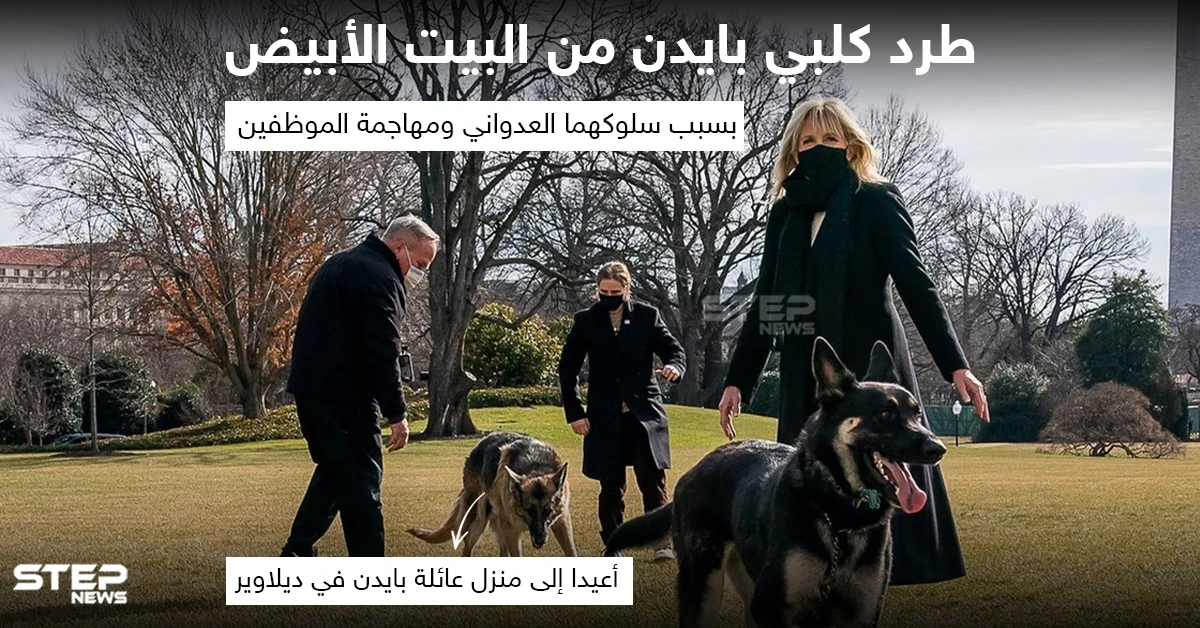 طرد كلبي الرئيس الأمريكي جو بايدن من البيت الأبيض ، بسبب سلوكهما العدواني ومهاجمة الموظفين