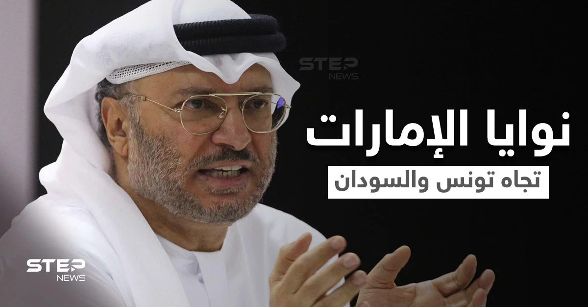 أنور قرقاش يوضح نوايا الإمارات بشأن التطورات الأخيرة في تونس والسودان