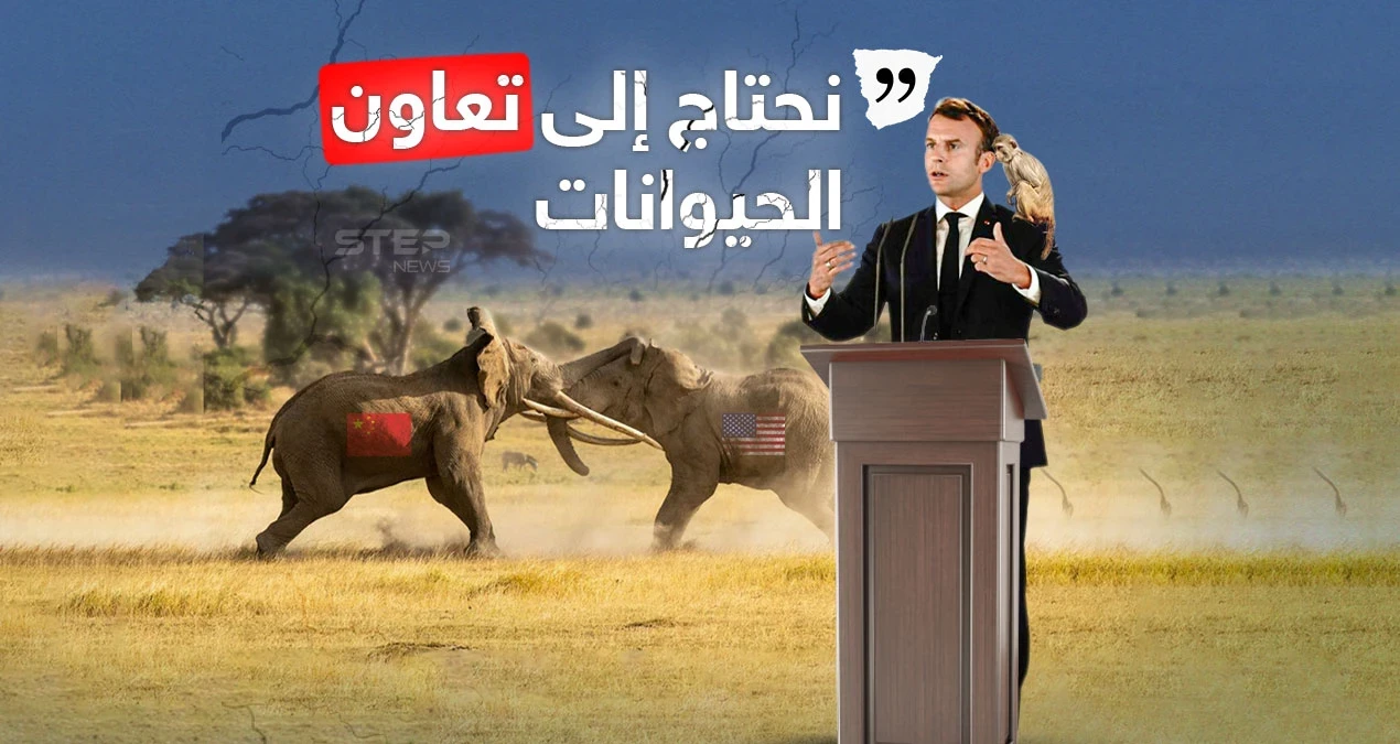 وصف العالم بالغابة وأمريكا والصين بالفيلة.. ماكرون يعبّر عن رفضه للمواجهة ويدعو القردة للتعاون