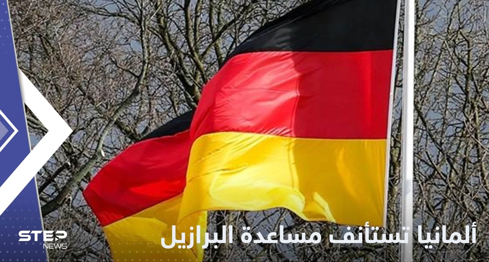 بعد فوز دا سيلفا.. ألمانيا تعلن استئناف مساعدة البرازيل في حماية الغابات