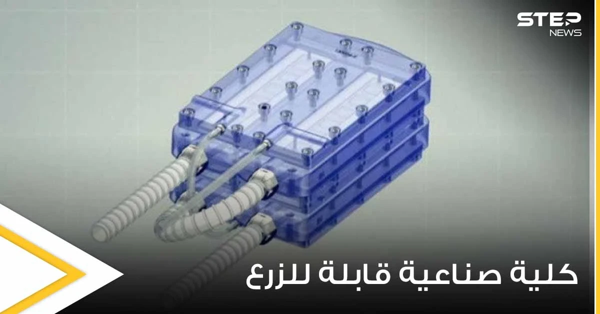 اختراع علمي مذهل.. علماء يبتكرون أول كلية صناعية قابلة للزرع قد تكون طوق النجاة